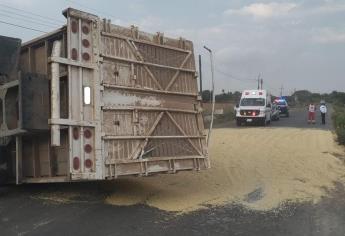 ¡Uno más! Suman 6 camiones cargados de maíz que vuelcan en Guasave