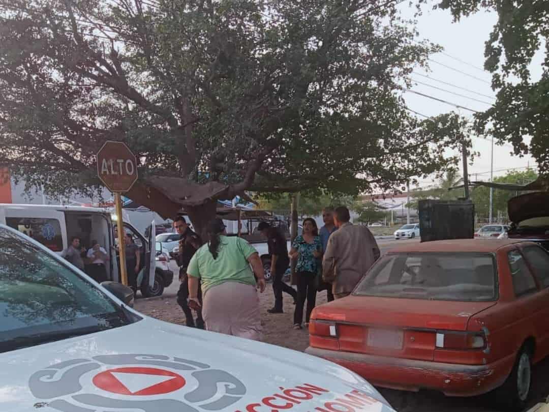 Jauría de perros callejeros ataca a una mujer en Los Mochis