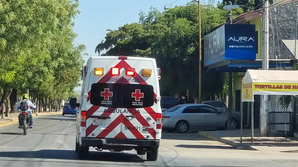 FOTO: Luis Ramírez.