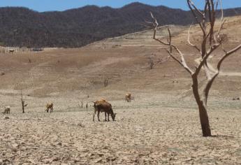Sequía severa afecta el 94.4 % de Sinaloa
