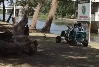 Denuncian a estudiantes atropellando iguanas en el Parque Las Riberas 