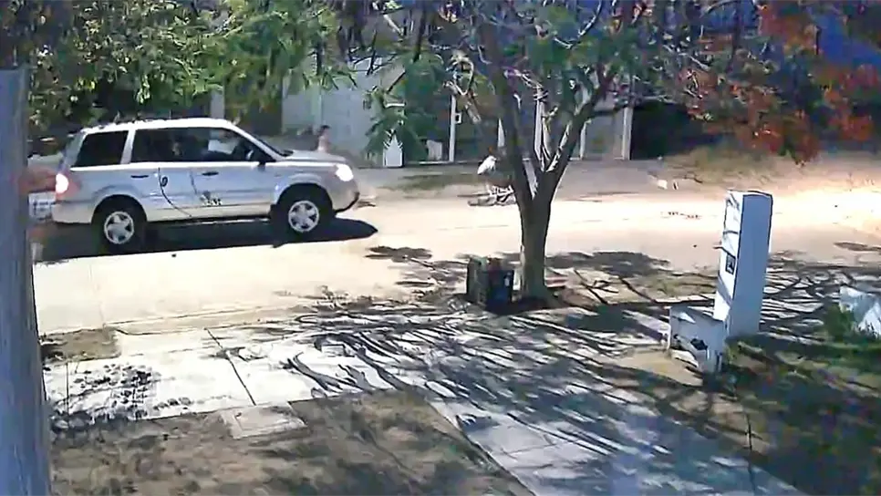 Esta es la unidad en la que supuestamente viajan los acosadores de niños en Los Mochis. FOTO: Facebook