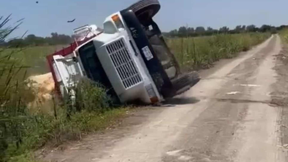 Vuelca torton cargado con 20 toneladas de maíz en Guasave