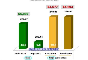 Baja precio del maíz a unos días de cerrar contratos a julio
