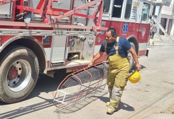 Bomberos rescatan a una persona que cayó a una barranco del Cerro de la Virgen, en Culiacán