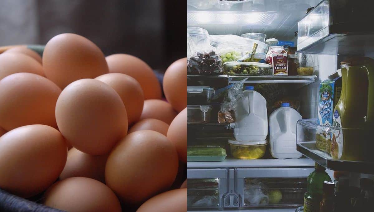 El huevo es uno de los alimentos más consumidos en todo el mundo. FOTO: Luz Noticias