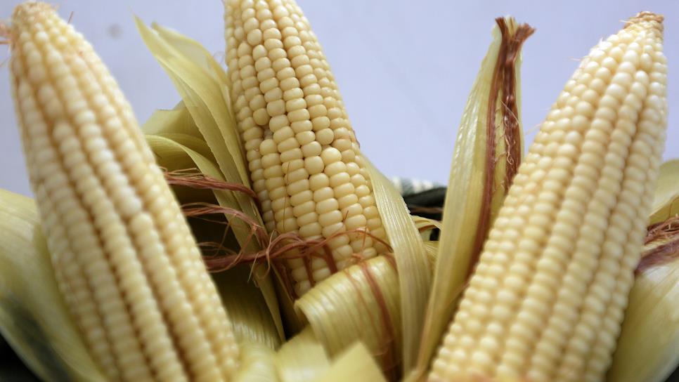 En 3 días, el precio del maíz pierde 22 dólares