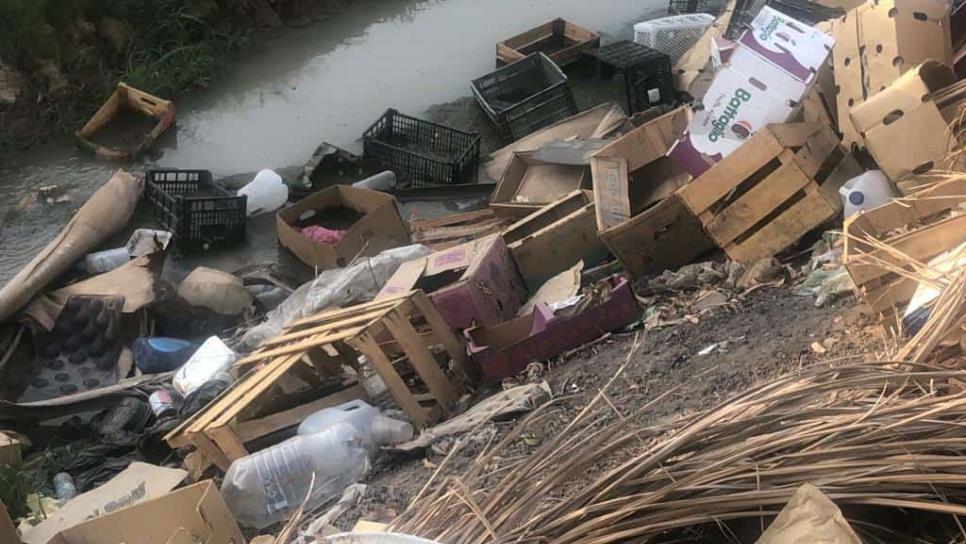 Proponen elevar multas por tirar basura en Ahome