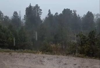 ¡Se vino el agua! Reportan lluvias en Badiraguato 