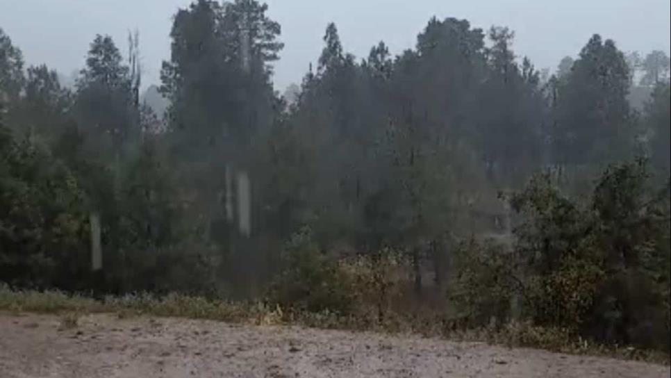 ¡Se vino el agua! Reportan lluvias en Badiraguato 