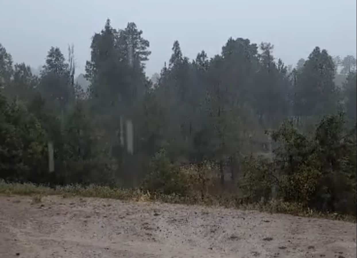 FOTO: Captura de pantalla.