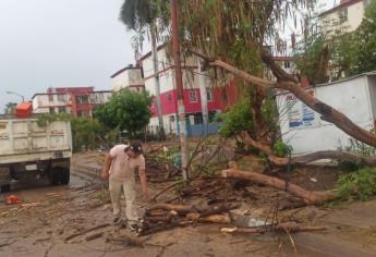 Intensa jornada de limpieza realiza personal de servicios públicos después de las lluvias