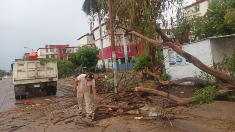 Intensa jornada de limpieza realiza personal de servicios públicos después de las lluvias