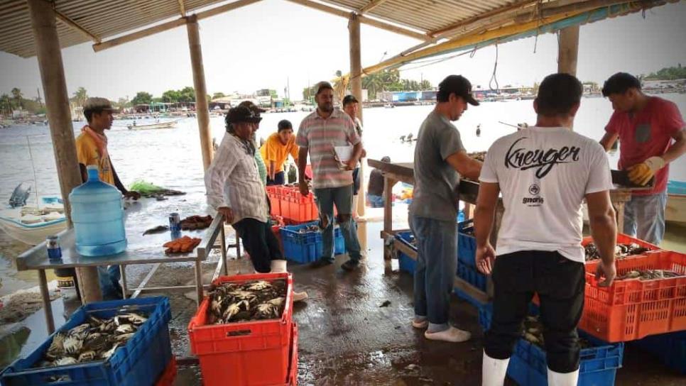 Se reactiva la pesca en zona norte de Sinaloa 