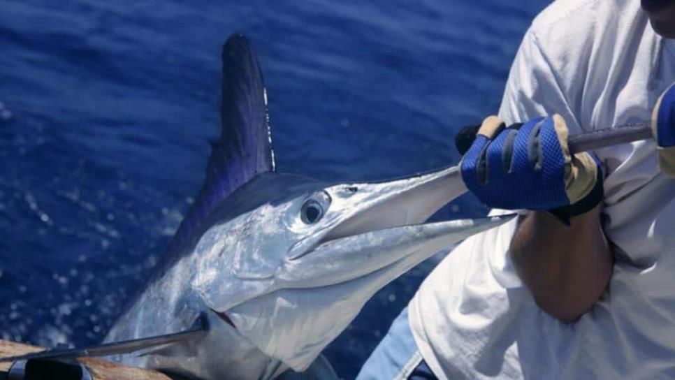 Con el pico de un pez vela asesinó a un marisquero en Mazatlán; pasará 22 años en la cárcel 
