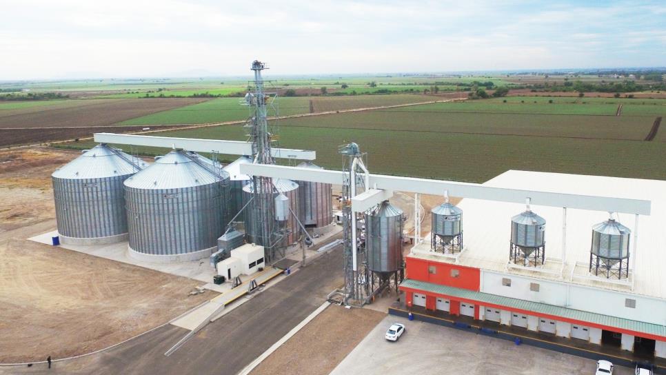 Productores de menos de 15 hectáreas de maíz demandan pago de Segalmex