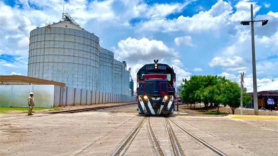 «Números no cuadran en comercialización de maíz»: AARC