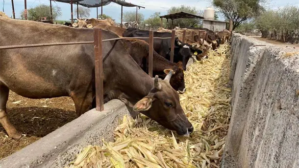 Nota Relacionada de Agro