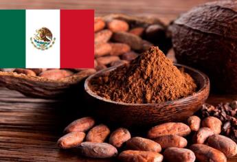 Día internacional del cacao: estos son sus 7 usos más populares 