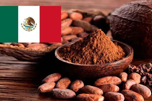 Día internacional del cacao: estos son sus 7 usos más populares Día internacional del cacao: estos son sus 7 usos más populares