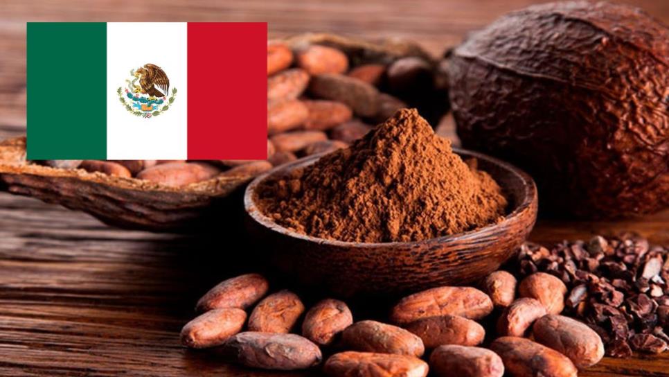 Día internacional del cacao: estos son sus 7 usos más populares 