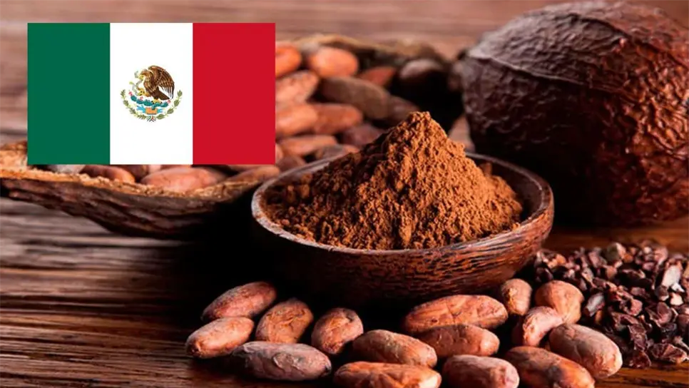 El cacao tiene una gran variedad de usos prácticos. FOTO: Luz Noticias