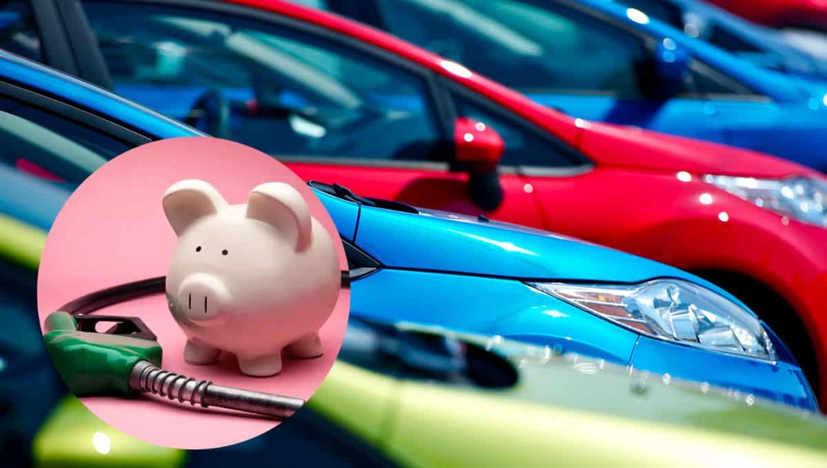 Hay opciones de autos que economizan el gasto de gasolina. FOTO: Luz Noticias