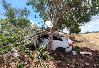 Por esquivar a dos motociclistas, conductor se sale de la carretera y se impacta contra un árbol en Los Mochis