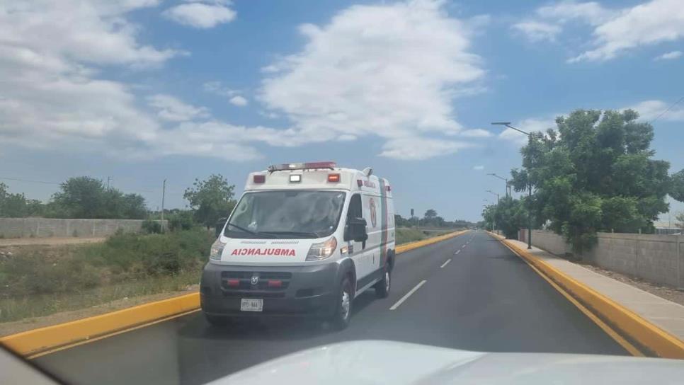 Se puso al tú por tú con un conductor, lo levantan y golpean