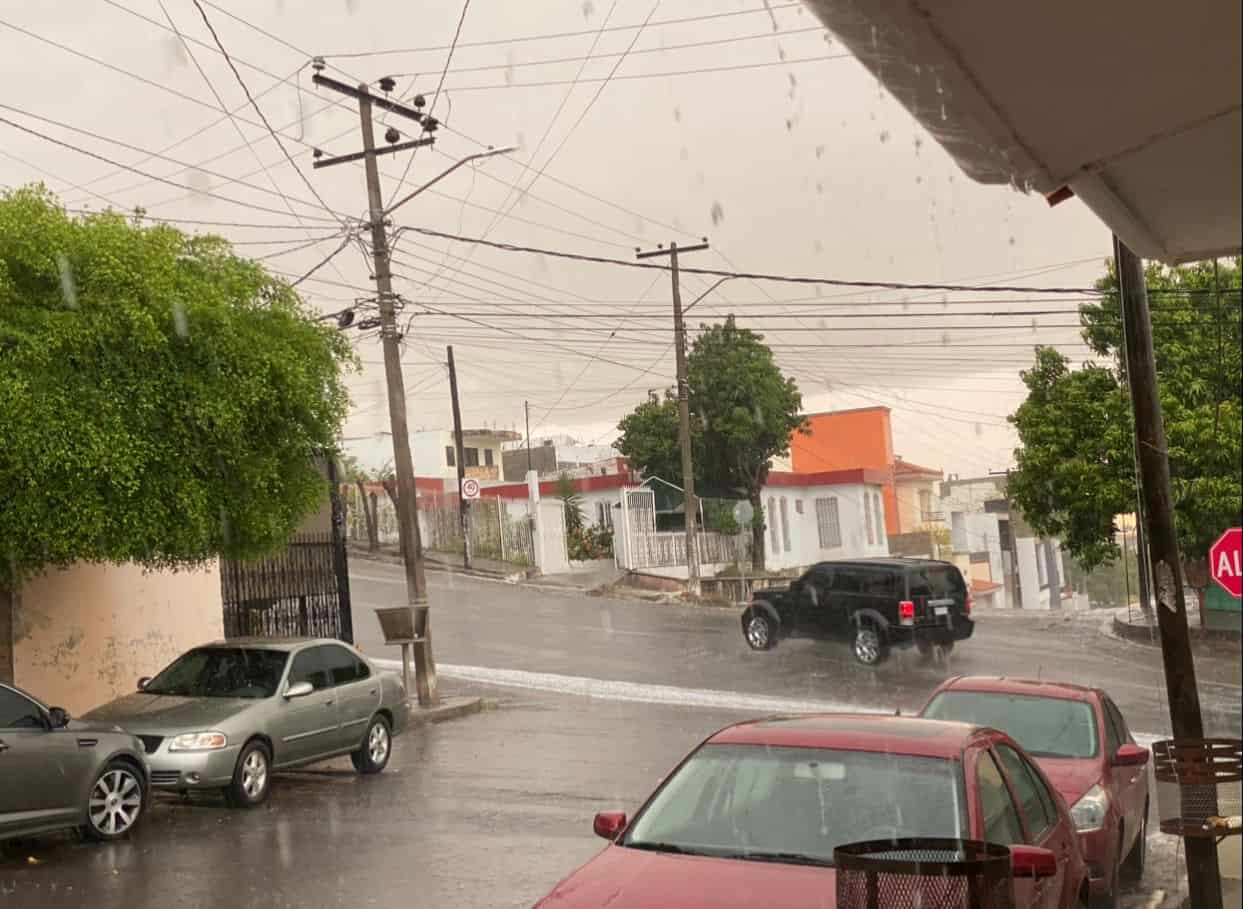 Ayuntamiento colabora con CFE en la poda de árboles para evitar apagones en Culiacán