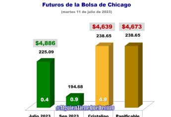 Oferta y demanda mundial de granos definirá el precio del maíz y trigo