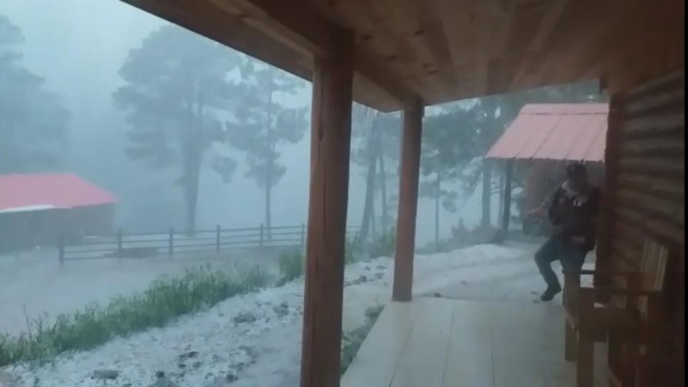 Granizada sorprende a habitantes de Santa Gertrudis, Badiraguato | VIDEO