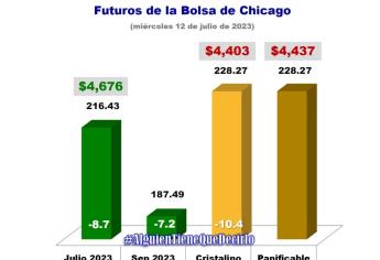 Incrementa oferta mundial de maíz y se desploma el precio