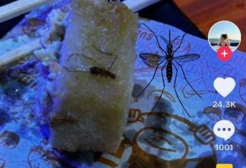 Exhiben platillo lleno de insecto en un buffet y piden ayuda de la Profeco