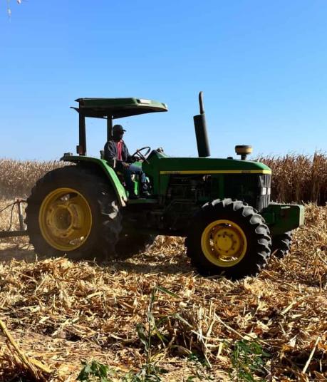 Productores de Sinaloa planean manifestación por bajo precio del maíz