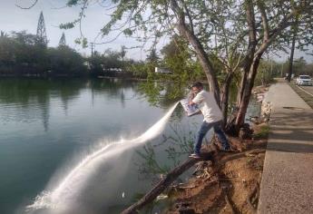 Buscan evitar más contaminación en el Estero del Yugo en Mazatlán