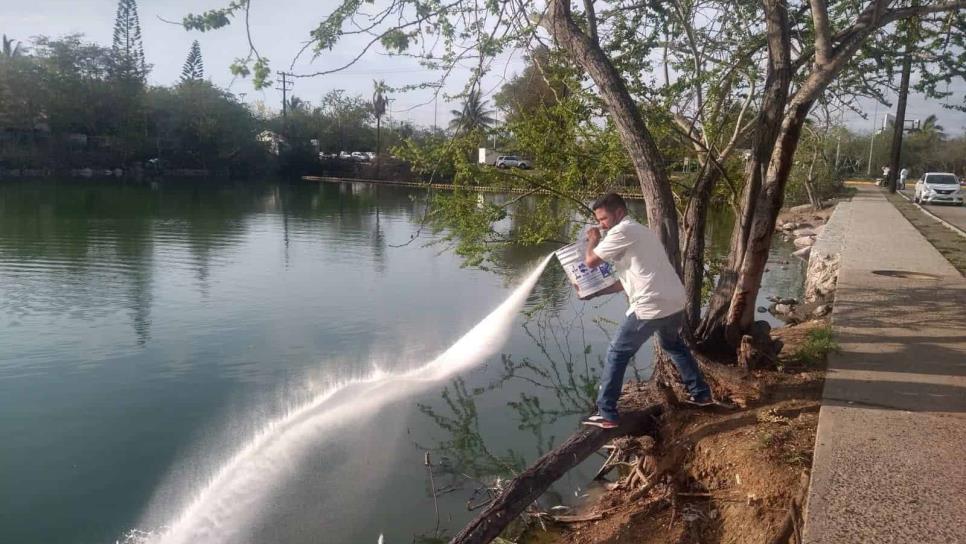 Buscan evitar más contaminación en el Estero del Yugo en Mazatlán