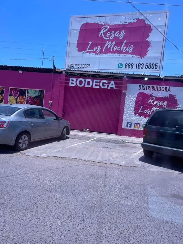 Imagen Placeholder