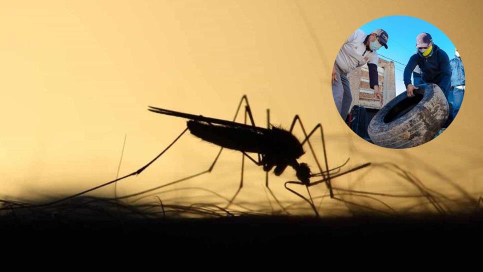 Cerca de 50 casos de dengue en el Sur de Sinaloa: conoce dónde y las recomendaciones al respecto