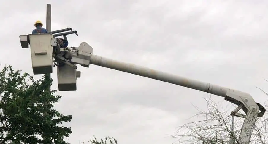 La CFE busca combatir los apagones en Sinaloa podando árboles. FOTO: Luz Noticias