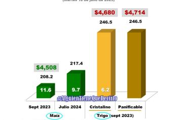 Precio por tonelada de maíz se ubica en $4 mil 508