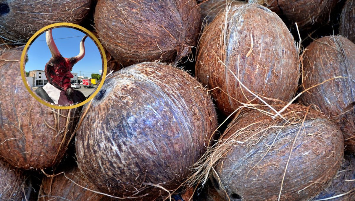 Con un coco seco se hacían rituales en la florería macabra de Los Mochis.