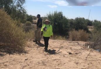 Hallan catorce cuerpos en fosas clandestinas del Valle de Mexicali
