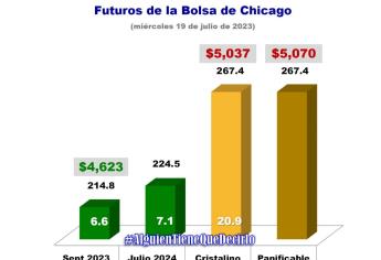 ¡Se dispara! Trigo sube a $5 mil 070 por tonelada