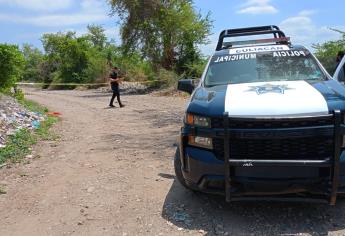 Ejecutan a un joven cerca de Mojolo en el sector norte de Culiacán 