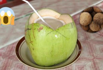 Rituales: ¿Qué significa dejar un coco debajo de tu cama? | VIDEOS