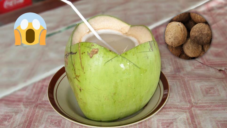 Rituales: ¿Qué significa dejar un coco debajo de tu cama? | VIDEOS