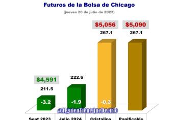 ¡Baja! Precio de referencia por tonelada de maíz se ubica en 4 mil 591 pesos