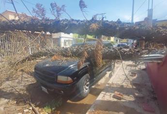 ¿Qué es una borrasca? Conoce el fenómeno que azotó a Los Mochis | VIDEO