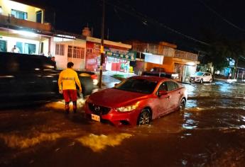 Tormenta eléctrica deja apagones y árboles caídos en diversos puntos de Mazatlán